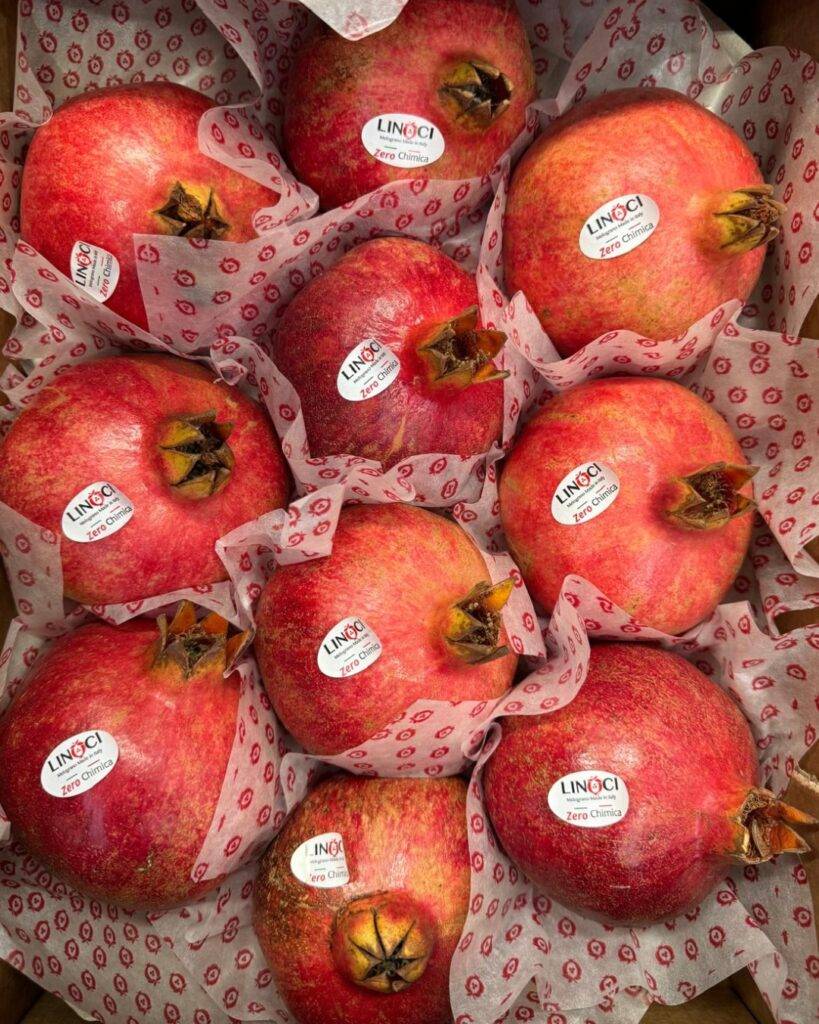 Ambiente e Servizio d'Eccellenza: La Nostra Esperienza | AeS Frutta e Verdura a Milano